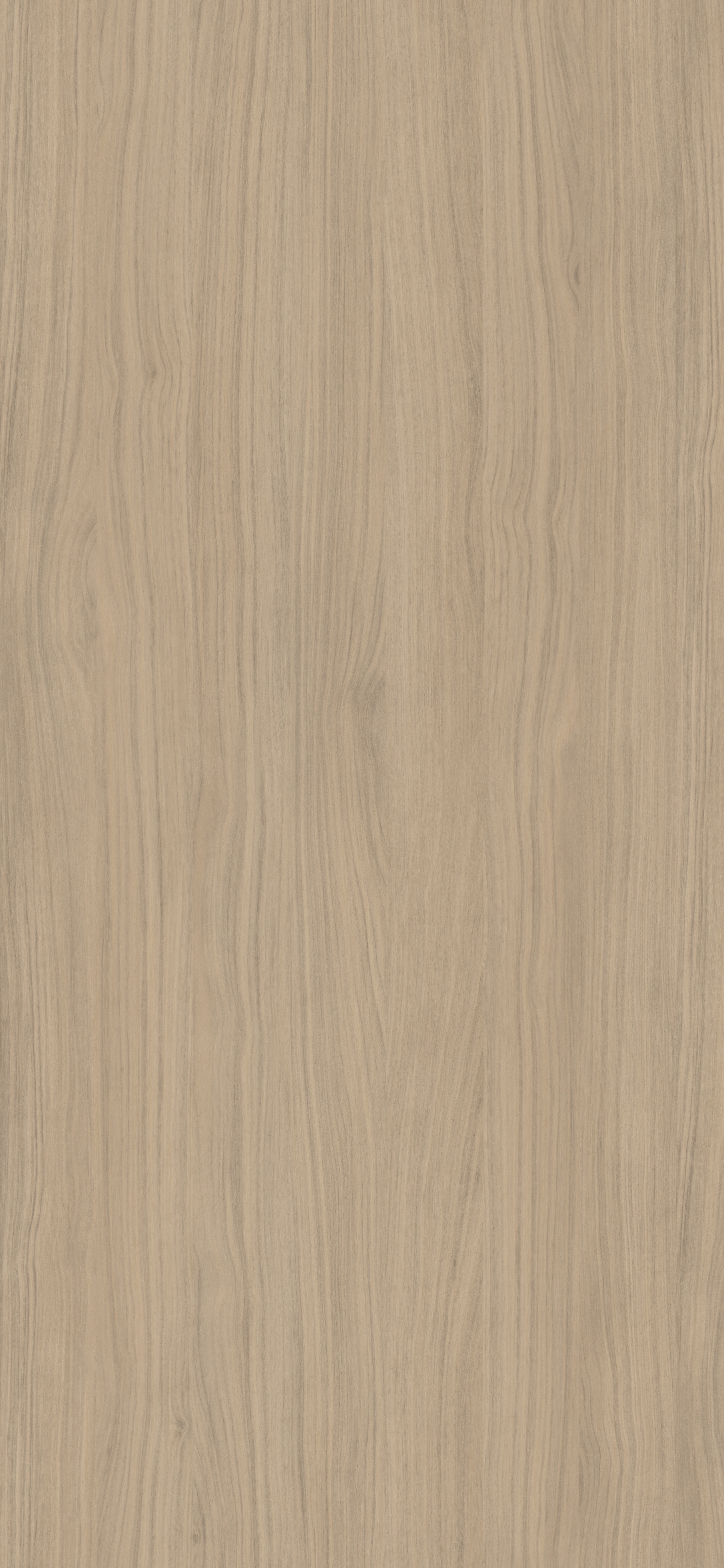 Silea Walnut Drift