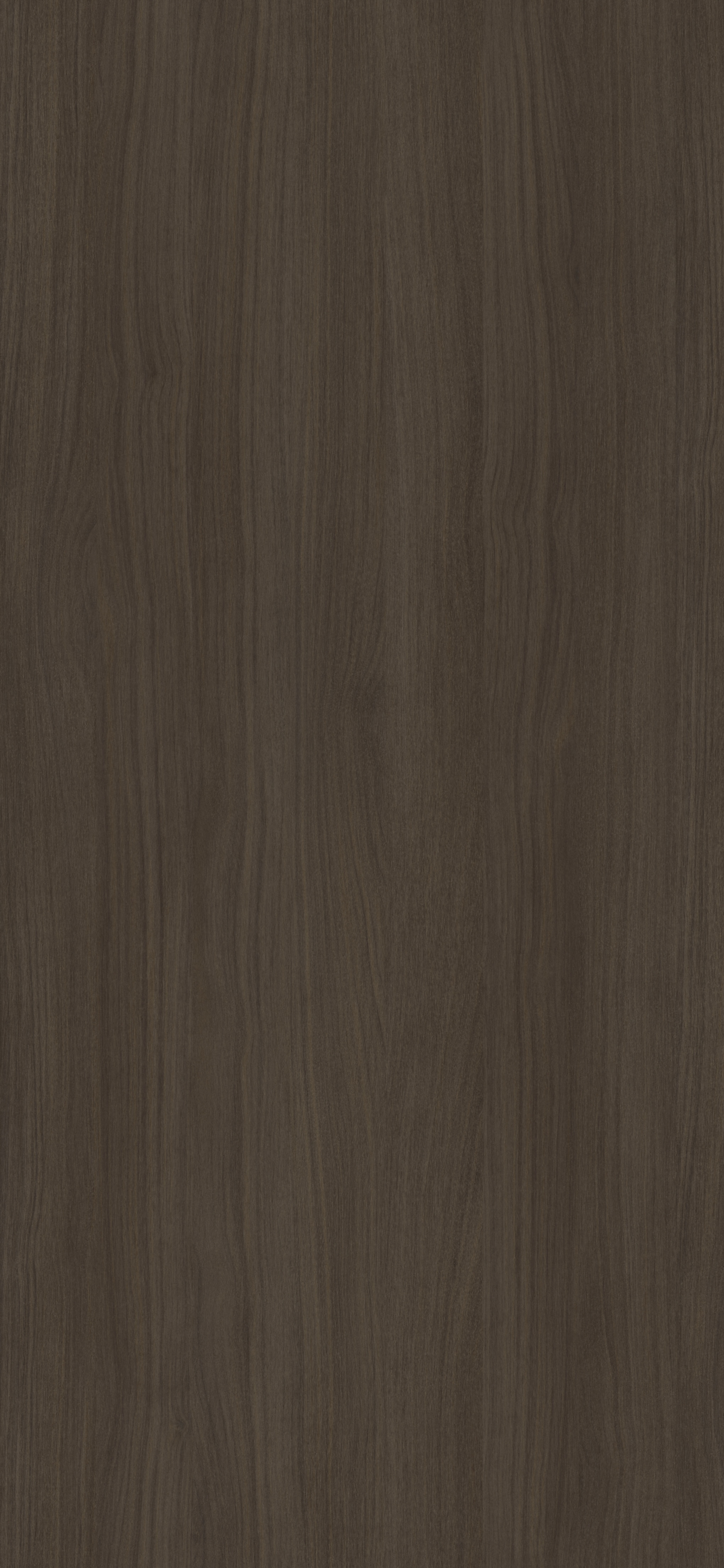 Silea Walnut