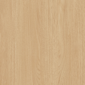 Neutral Webster Oak