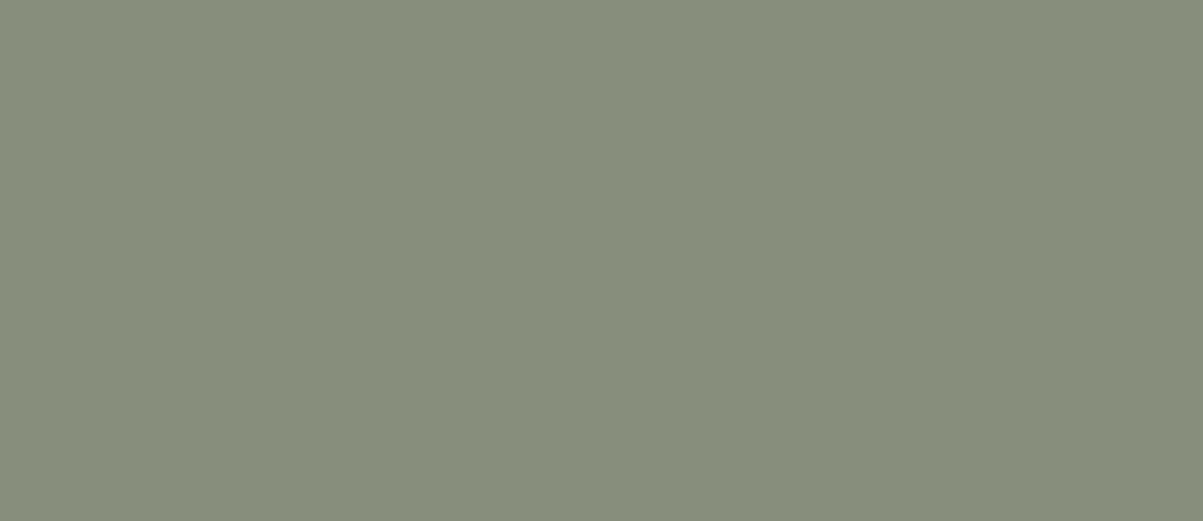 Muted Olive